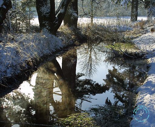 Scottish Borders 9C37D-13.JPG